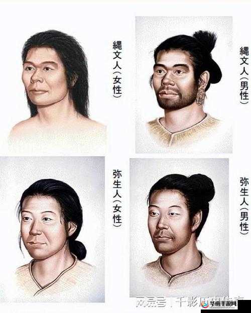 日本人和欧洲人的 DNA 对比：揭示种族遗传差异之谜