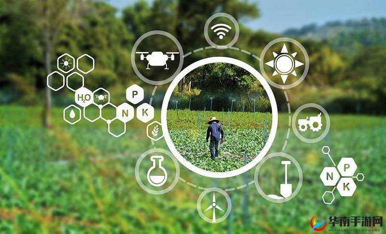 人曾交互mouse 农场：探索神秘的互动农业新领域