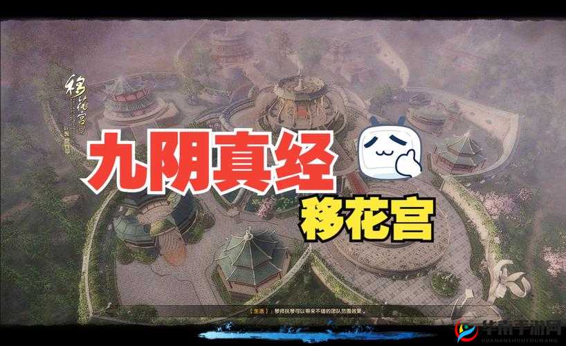 九阴真经 9yzj 网：探索江湖武学奥秘的绝佳平台