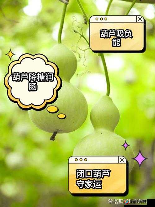 千万影片你需要葫芦:带来视觉盛宴的神奇存在