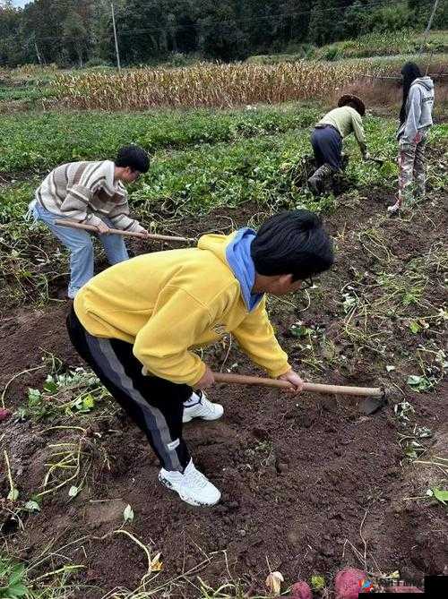 一小孩儿和老师拔萝卜（黄）：趣味田园生活中的师生合作瞬间