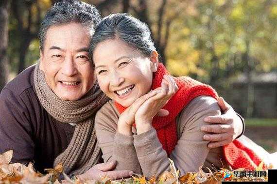 东北阿姨找老伴的明白账：关于晚年情感与生活的思考