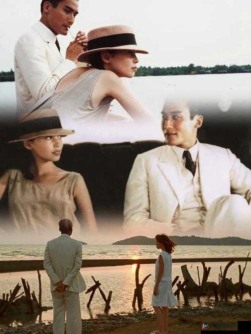 老妇海角伦:一段跨越时空的禁忌之恋