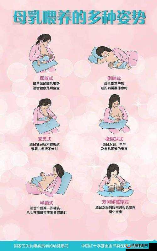 宝宝吃奶 HPO：探索亲子互动的奇妙之旅