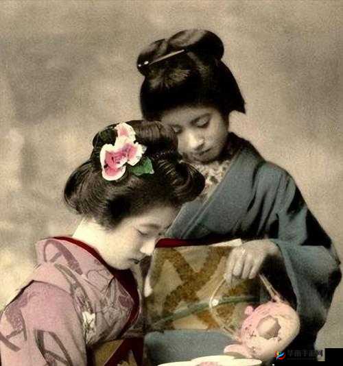 古代公子与花魁的情感纠葛:插花弄玉