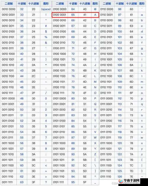17c100.cm :一段充满神秘色彩的独特编码组合