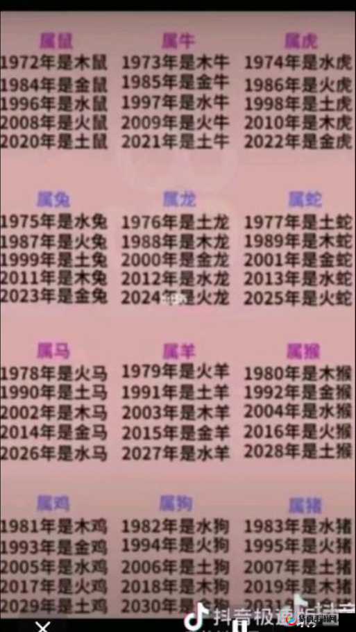 一二三四影虎库最新 2024：探寻其背后的神秘魅力与无限可能