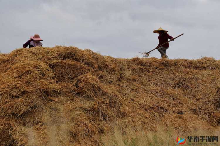 在这个寒冷的冬天，你是否需要一些温暖和激情？来看看柴火垛里的疯狂：最经典的一句，让你欲罢不能吧