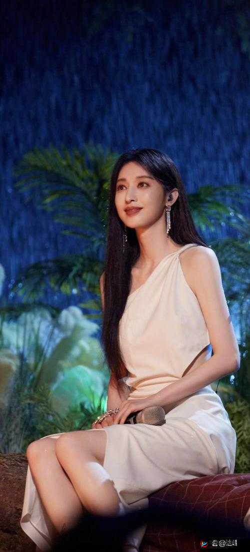 四川九久影视有限公司艺人-展现卓越演技与独特魅力的群体