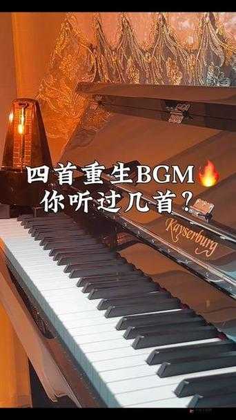 BGMBGM 老太太毛多多金属：音乐背后的故事与启示