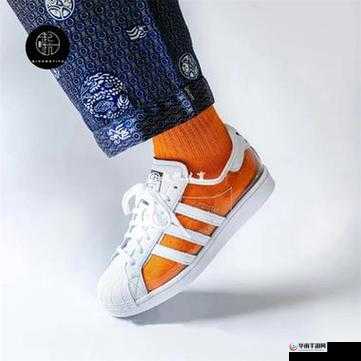 三叶草 fy7717：探索其独特魅力与无限可能的旅程