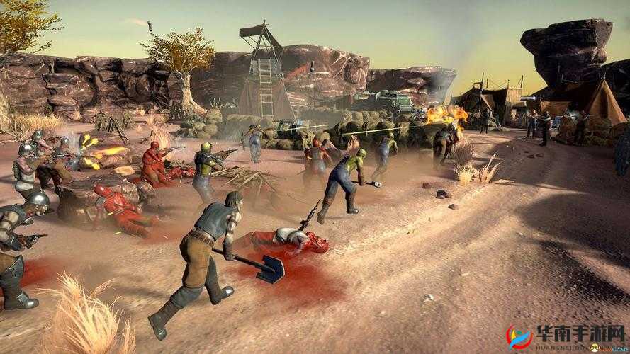 禁播网：揭秘网络世界的灰色地带