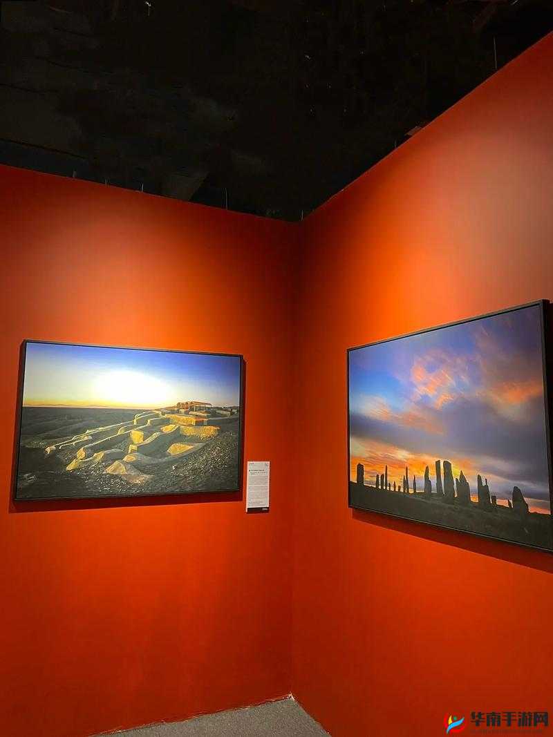 8x8 海外视频 ：带你领略异国他乡的精彩影像世界