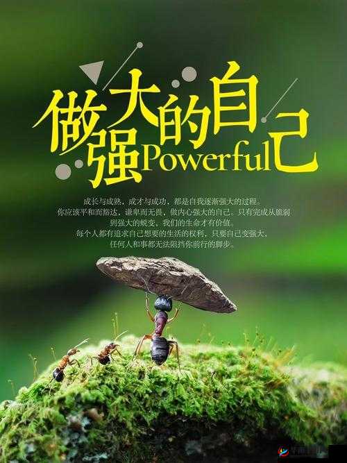 30 分钟激励短片视频素材:激发无限潜能的心灵之旅