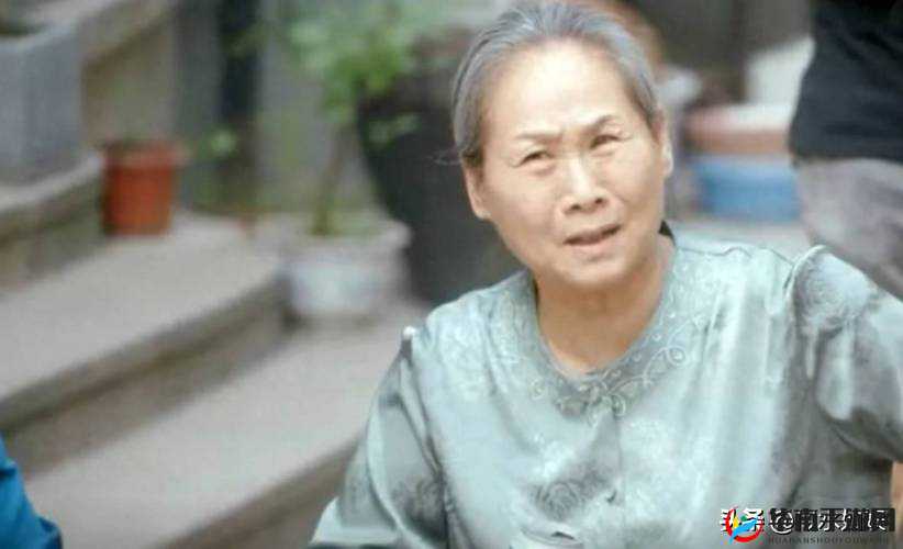 Chinesedaddy 中老年人的别样生活与故事