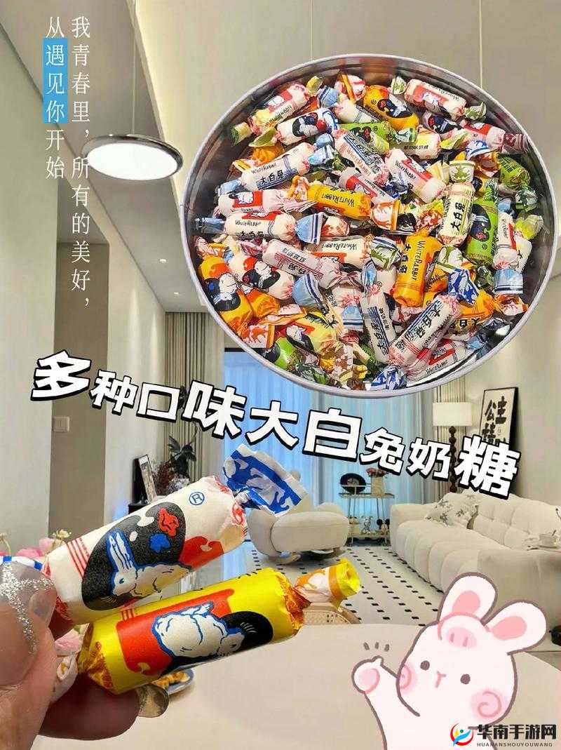 大白兔衬衫里蹦蹦跳跳的是什么：探寻其中的奇妙秘密