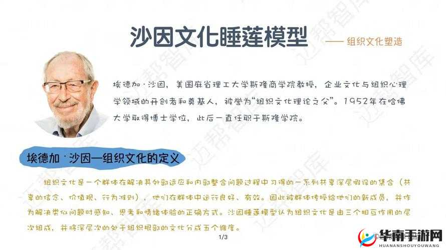 日本 Pride:探寻其背后的文化与价值观