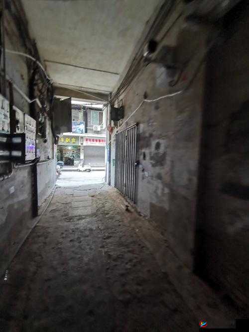 探索未知，挖掘一区二区乂乂乂背后的秘密