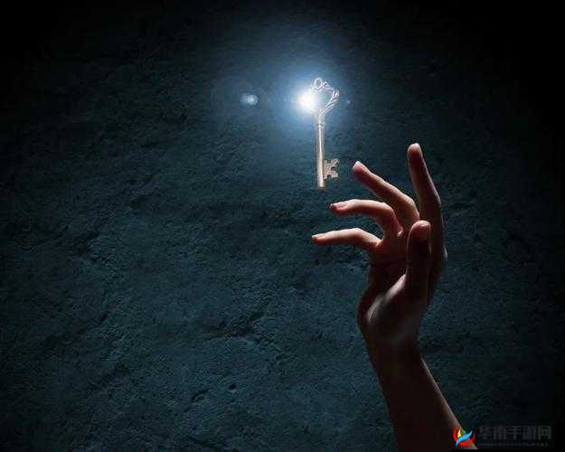 XXXbXHD：开启全新科技体验的神秘钥匙