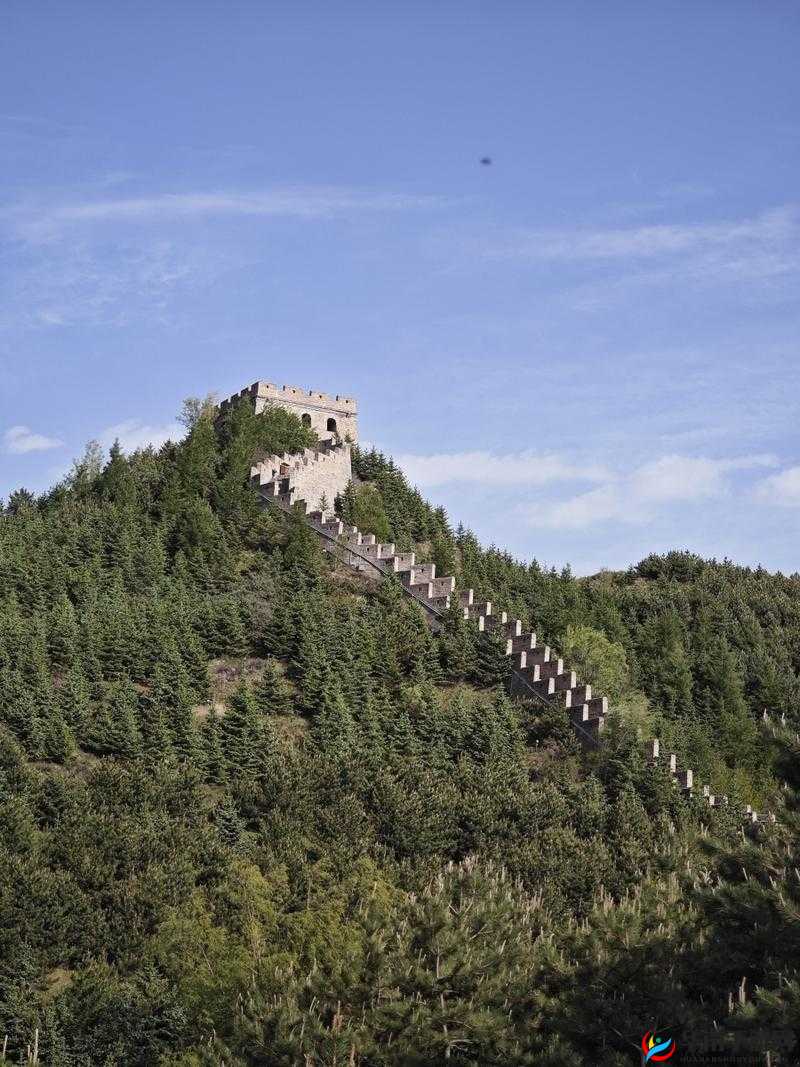 08 年雁门照还能找到吗:关于其是否存在及相关情况探讨