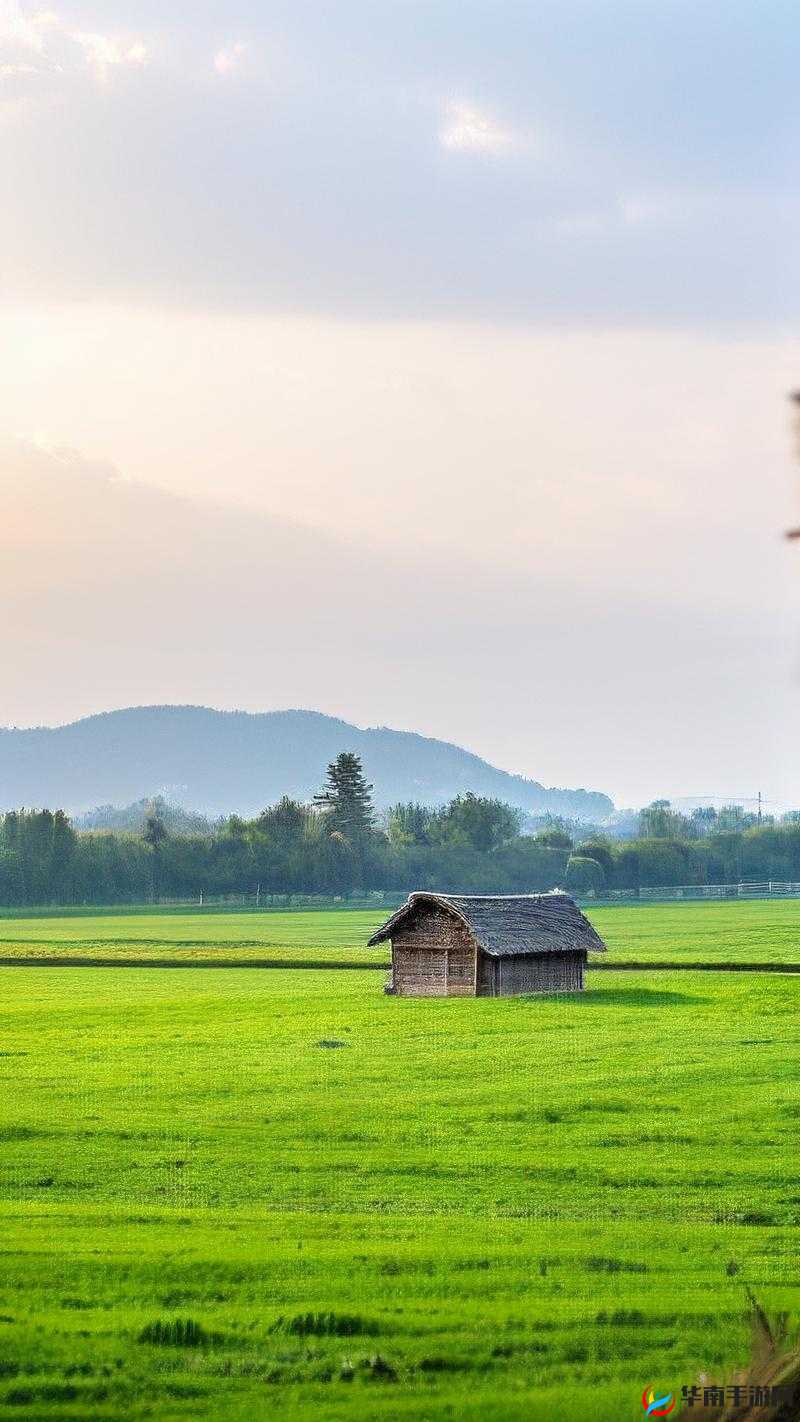 东北山村情事:淳朴乡村中的爱与纠葛悲欢离合