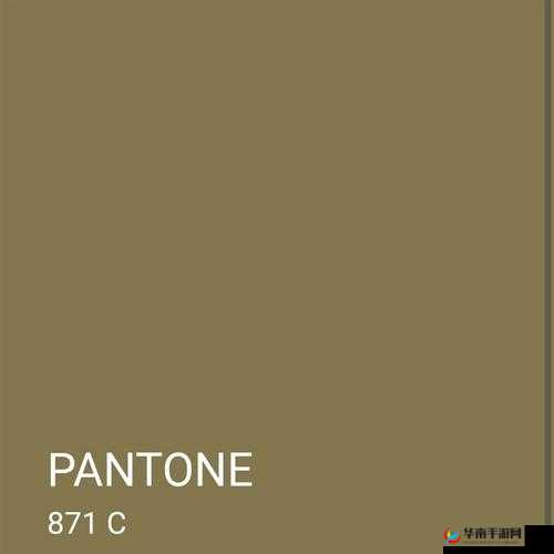 871c 潘通色：引领时尚潮流的独特魅力色彩