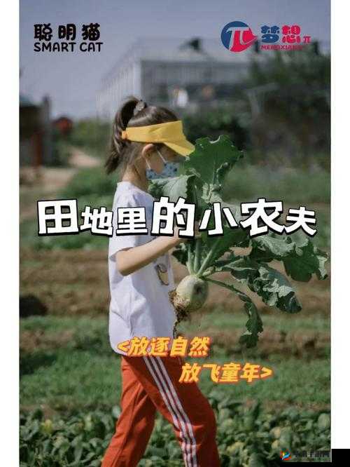 儿妈妈一亩田地:讲述关于这片田地的故事与情怀