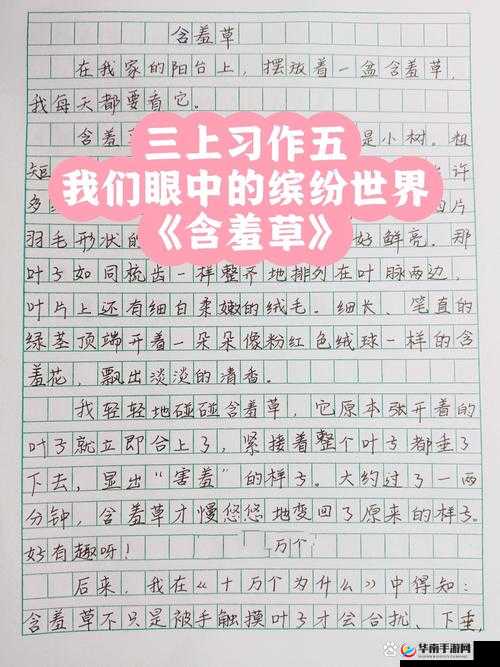 含羞草 2021 地址永不失联：打开通往快乐世界的大门