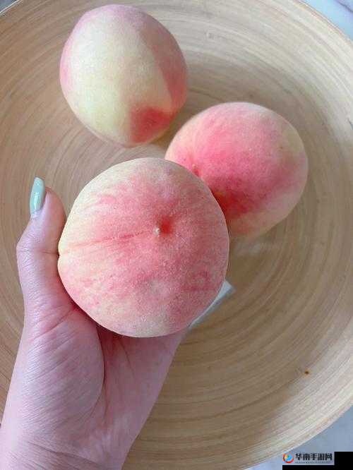 奇异水蜜桃香蕉含羞草的奇妙组合与别样风情