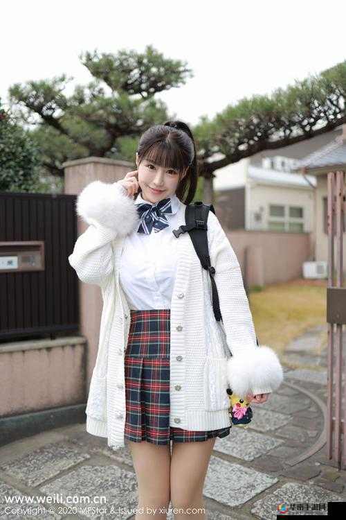 WWWWXXXX 是一个非常重要且值得深入研究的内容