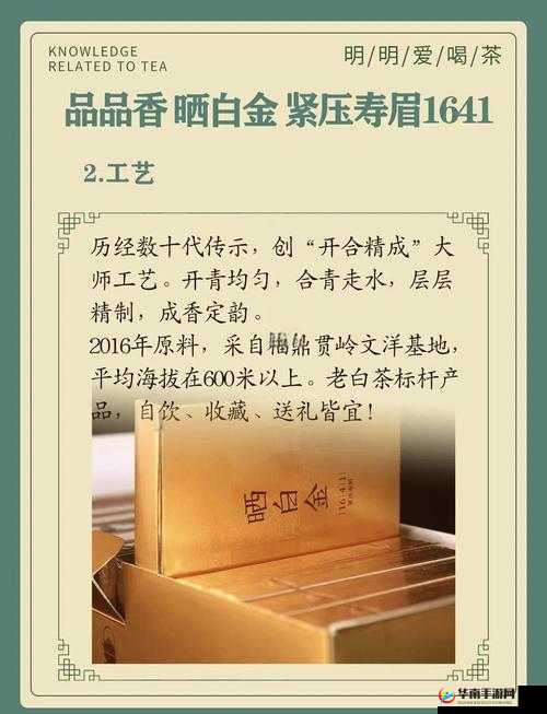国产精华：传承经典品质 展现民族护肤魅力之选