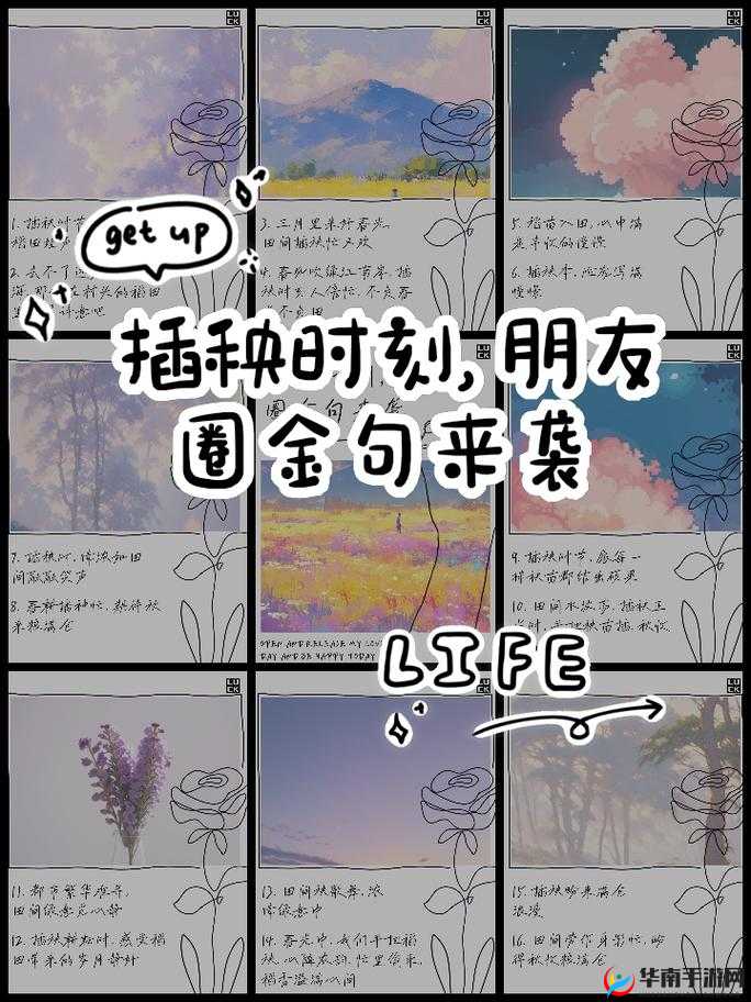 一百零八式：情侣插秧图的浪漫解读