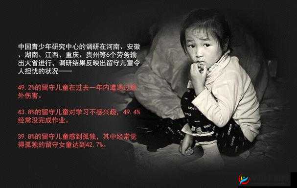 四川寡妇 BBB 槡 BBB 爽爽爽：独特经历引发的别样故事