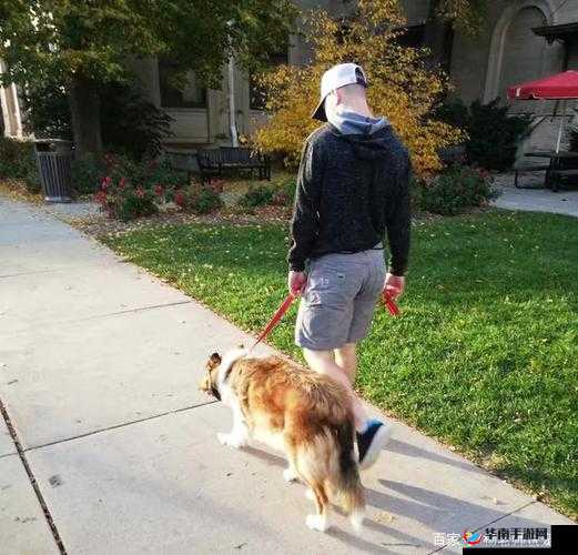 震惊美国惊现不为人知的一幕：人与狗竟然在做这种事情