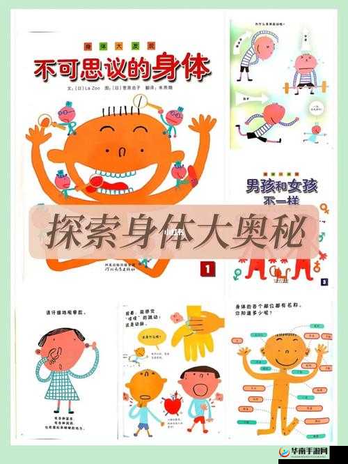：探索身体奥秘的私密之旅