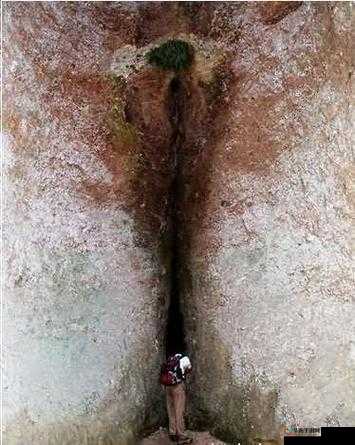 岳丰满多毛的大隆阴那令人惊叹的独特魅力