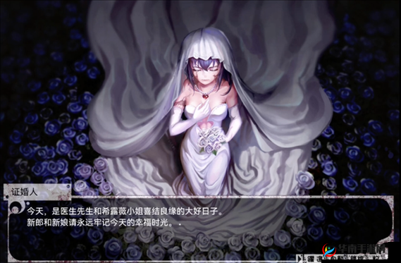 老色女网：揭秘成人世界的私密角落