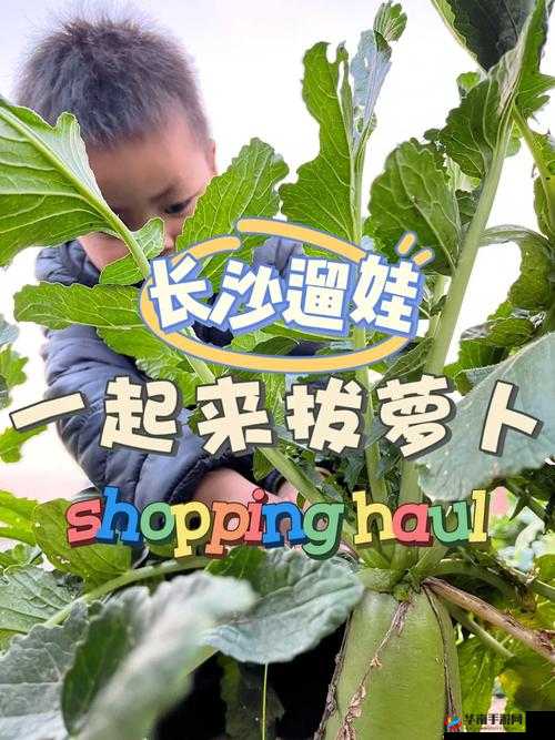 女孩子怎么体验拔萝卜的感觉：探寻其中的奥秘与乐趣