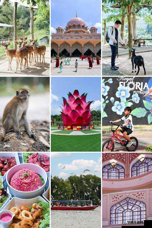 春色满园:探索色欲 OV 久久久久久精品草莓的无限魅力