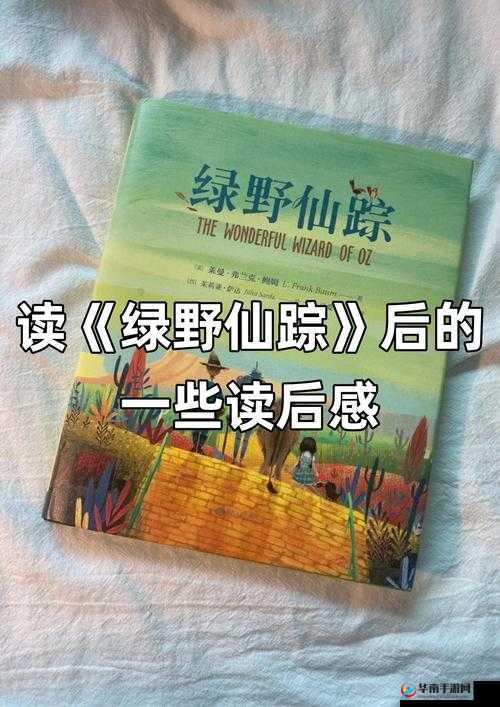 柬埔寨幼稚绿野仙踪www：带你走进神奇的童话世界
