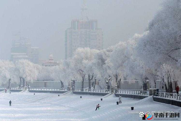 中国东北极具魅力的 BBW 独特风采展现