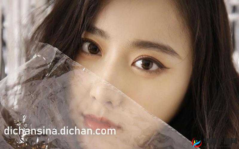 91 视频成人：探索无尽激情的私密世界