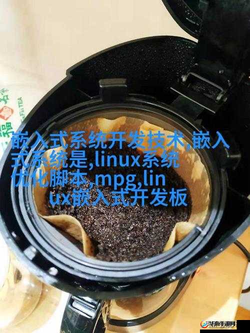 白俄罗斯 RAPPER 潮水 用音乐诉说独特的故事和情感