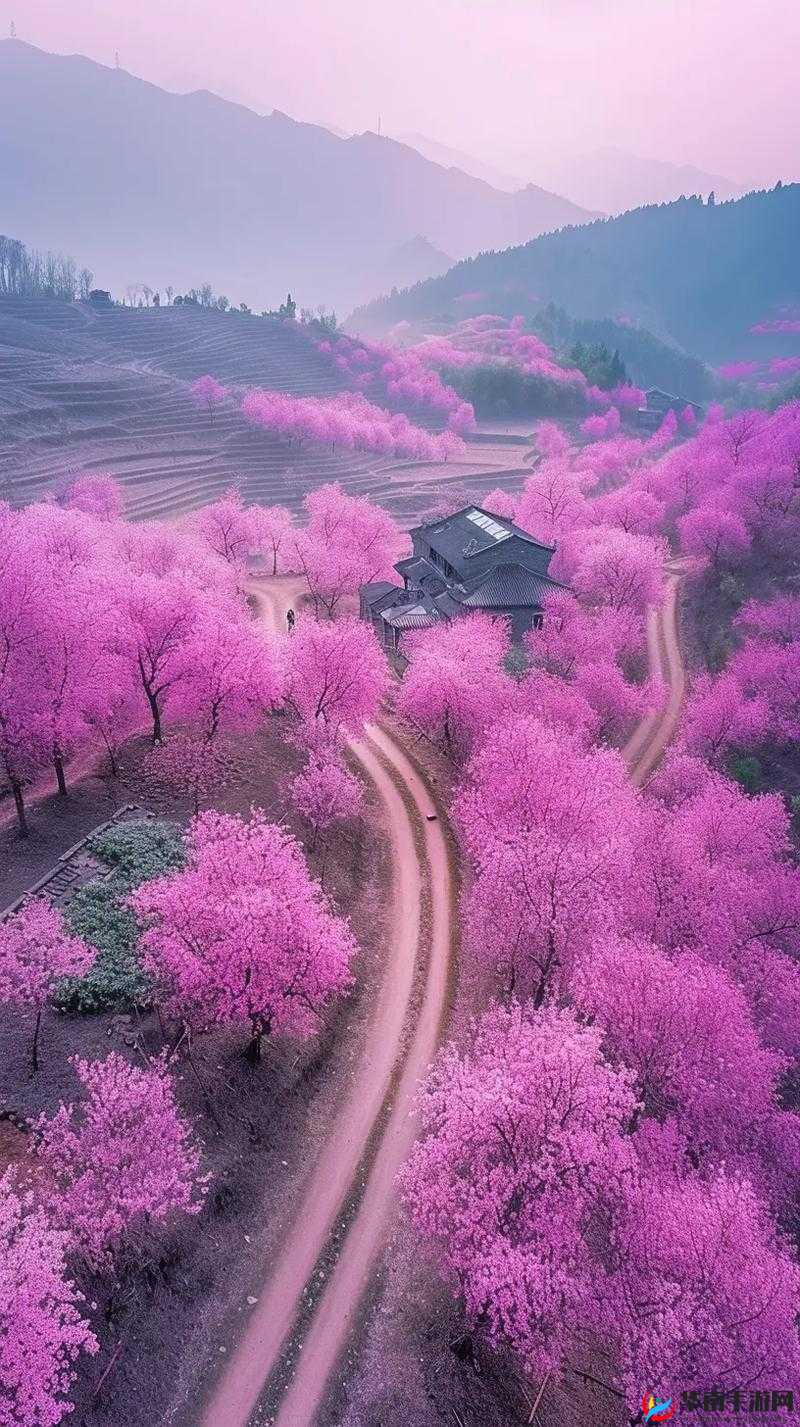 桃花洞口溪水潺潺深受广大友好评回应：绝美景色引赞誉无数