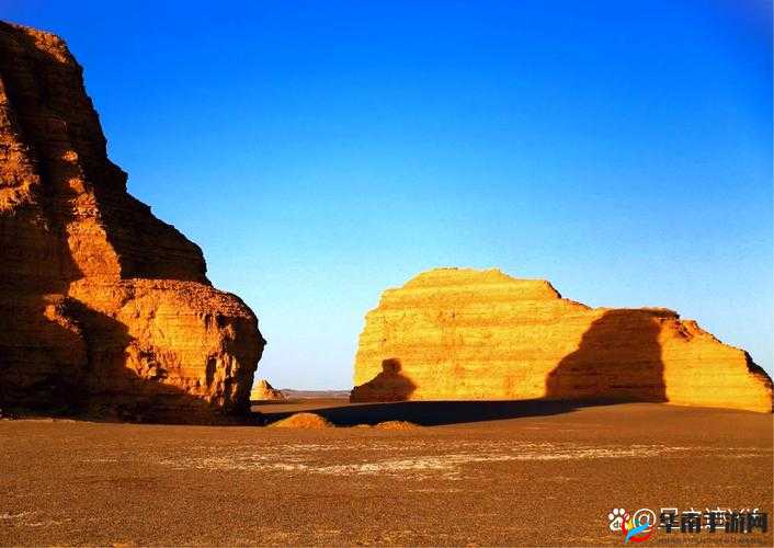 色尼马——探寻其独特魅力与奥秘