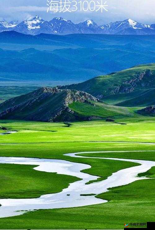 中国新疆 XXXXXL19D：一场关于文化与历史的探索之旅