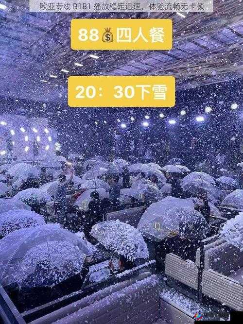 欧亚尺码专线欧洲B1B1 播放更加稳定迅速:畅享优质播放体验