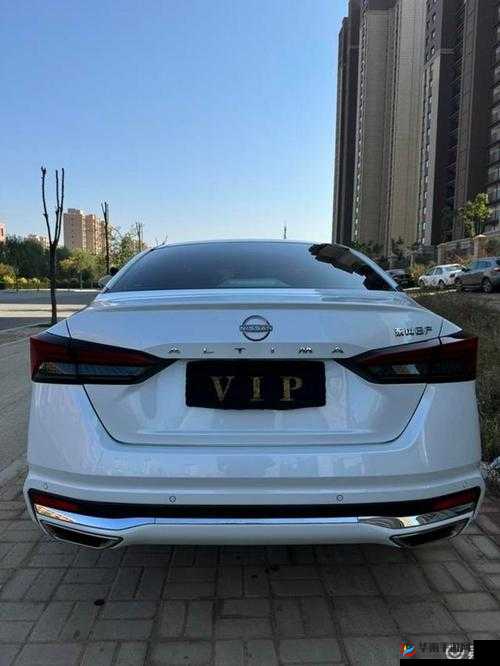 2024 国产日产欧产精品无需注册登录：带你畅享精彩内容无阻碍