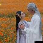 探花 xxxxx：关于探花 xxxxx 的详细解读与深入分析