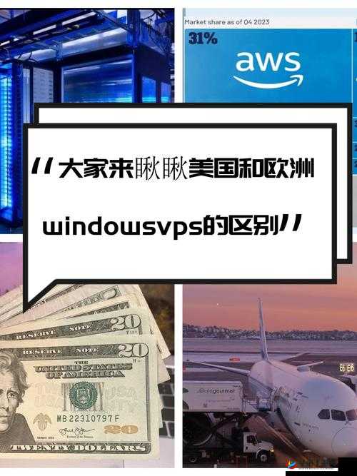美国和欧洲 VPS ：探究其性能与应用的无限可能